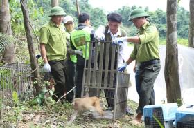  Tận thấy những loài động vật hoang dã, nguy cấp ở Vườn Quốc gia Vũ Quang 第20张