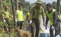  Tận thấy những loài động vật hoang dã, nguy cấp ở Vườn Quốc gia Vũ Quang 第24张