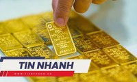  Thông tin mới việc thanh tra 2 ngân hàng, 4 doanh nghiệp vàng 第6张