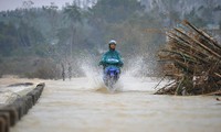  Phát hiện thi thể đang phân hủy ở ban công Bệnh viện Đa khoa Quảng Ngãi 第10张