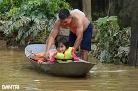 Hà Nội: Nước lũ dâng cao hơn 5m, người dân &quot;sơ tán&quot; đàn lợn lên tầng 3