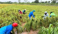  6 điểm nhấn trong Chiến dịch Thanh niên tình nguyện Hè năm nay 