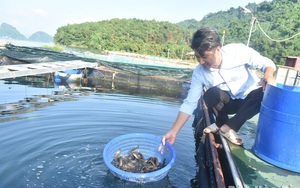 Chủ tịch Hội Nông Dân Việt Nam Lương Quốc Đoàn kiểm tra công tác Thi đua-Khen thưởng tại Hòa Bình  第11张