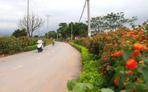 Nông dân Ba Vì dựng trang trại, ngày càng làm ăn lớn từ vốn ưu đãi Ngân hàng CSXH