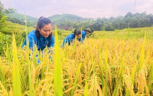 Hội Nông dân xã Sơn Hải ở Nghệ An mang những vật dụng thiết thực đến hỗ trợ bà con vùng lũ 