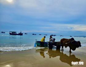 Du khách hào hứng đi chợ cá tươi ở làng du lịch cộng đồng ven biển