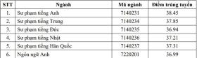 Sư phạm Tiếng Anh lấy điểm chuẩn cao nhất Đại học Ngoại ngữ 