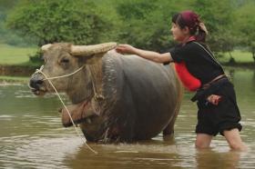  Phim Việt giờ vàng làm sai lệch trang phục dân tộc 