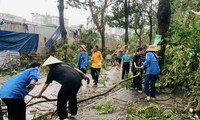  Nhiều nhà hảo tâm cùng báo Tiền Phong chung sức hỗ trợ đồng bào bị thiệt hại do bão lũ 第20张