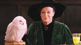 Maggie Smith, giáo sư McGonagall trong Harry Potter, qua đời ở tuổi 89