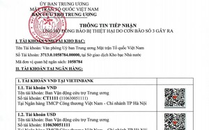 Cứu trợ thiên tai: &quot;Không nên để cảnh một thôn 300 người mà nhận hàng nghìn chiếc bánh chưng&quot;