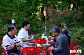 Tiết trời thu Seoul ủng hộ Vietnam Phở Festival