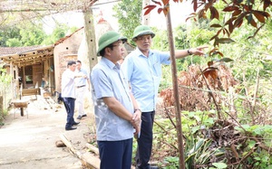 Thái Nguyên: Người dân kêu than vì trại nuôi vịt không phép, gây ô nhiễm môi trường  第5张