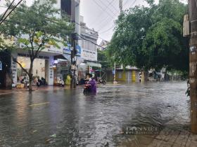 Mưa trắng trời, nhiều tuyến đường và vùng trũng ở Quảng Nam ngập sâu 