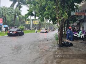 Mưa trắng trời, nhiều tuyến đường và vùng trũng ở Quảng Nam ngập sâu 