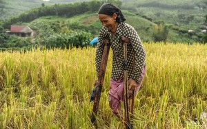 Xúc động chuỗi chương trình tri ân anh hùng liệt sĩ tại Hà Giang  第72张