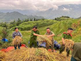 Công an giúp dân gặt lúa, di chuyển nhà cửa để &quot;chạy bão&quot; Yagi