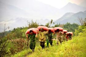 Công an giúp dân gặt lúa, di chuyển nhà cửa để &quot;chạy bão&quot; Yagi