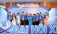  Tuổi trẻ Bà Rịa - Vũng Tàu phát triển toàn diện, hài hòa trí tuệ và thể chất 第11张