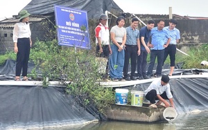 Bí thư Huyện ủy Yên Khánh Hoàng Văn Thắng được giới thiệu bầu giữ chức Chủ tịch Hội Nông dân tỉnh Ninh Bình